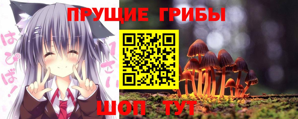 Галлюциногенные грибы Cubensis Назрань
