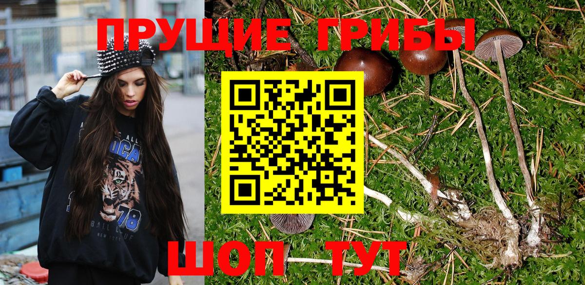 Назрань  Псилоцибиновые грибы GOLDEN TEACHER  Вход с VPN 